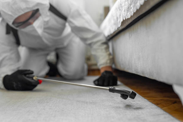 Professional Termite Control technician working in Brownsville, FL